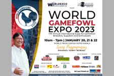 international gamefowl festival 2024|World Trade Centers Association.